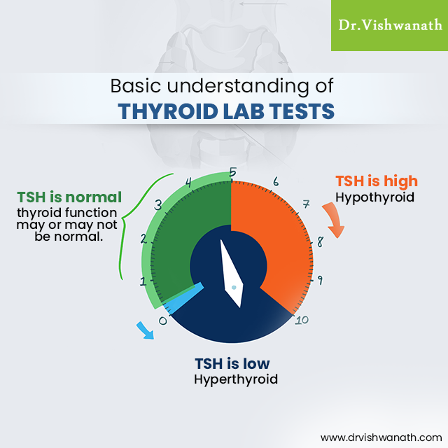 Thyroid Specialist in Bangalore | Thyroid Specialist Near Me - By Dr ...